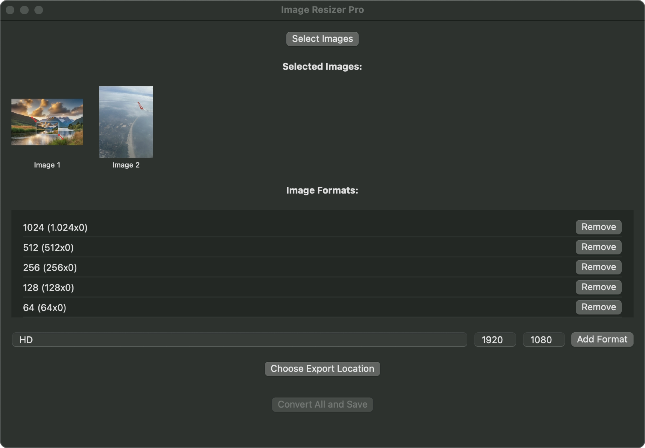 image resizer pro 2156